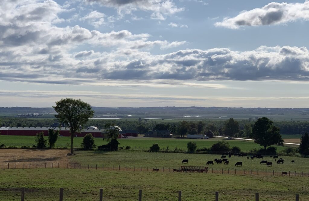 Agriculture must be part of interprovincial trade barrier discussions: OFA Viewpoint