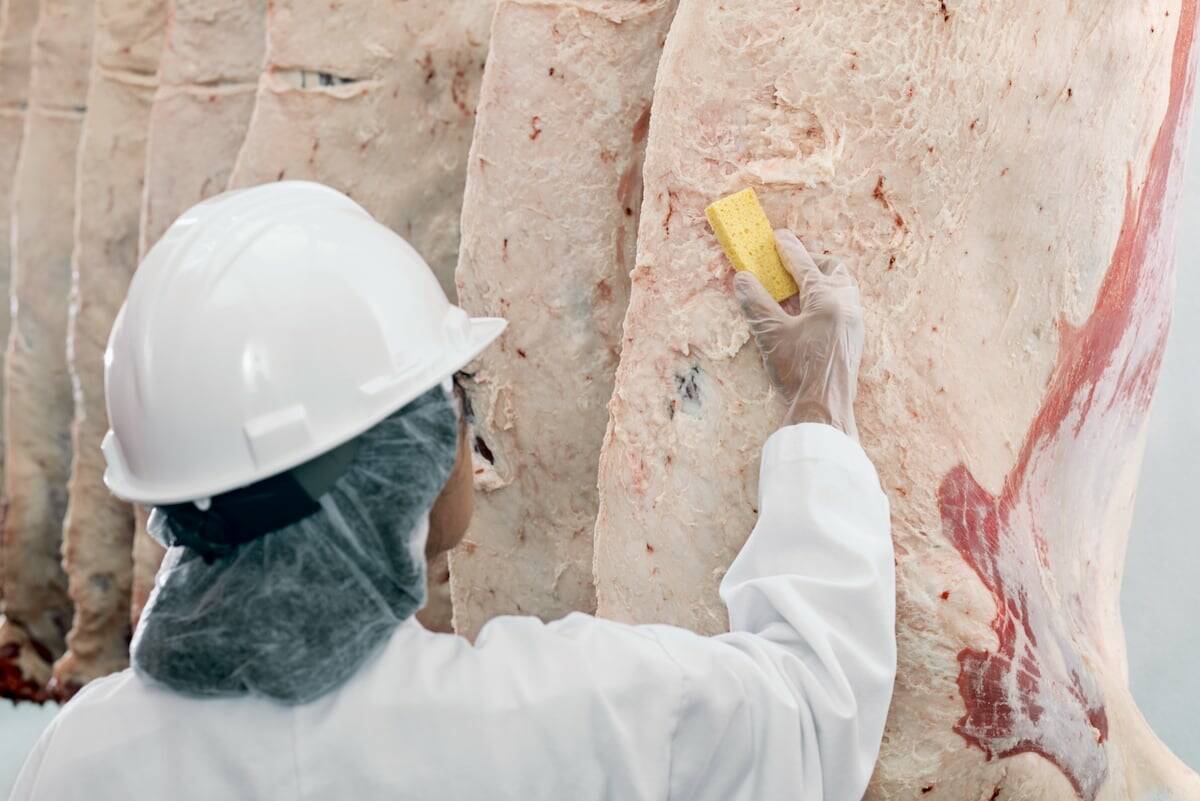 A worker washes a beef carcass in a meat production plant