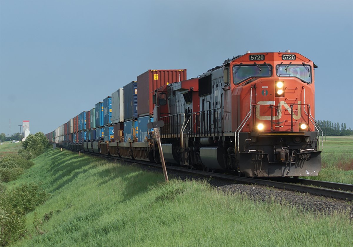 A CN locomotive hauls intermodal containers with bright green gras along the tracks.