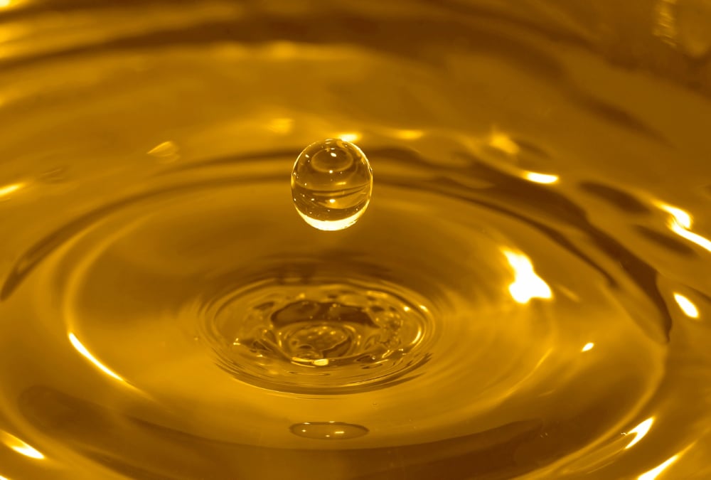 China pivots to Europe for used cooking oil exports as tariffs hit shipments to US