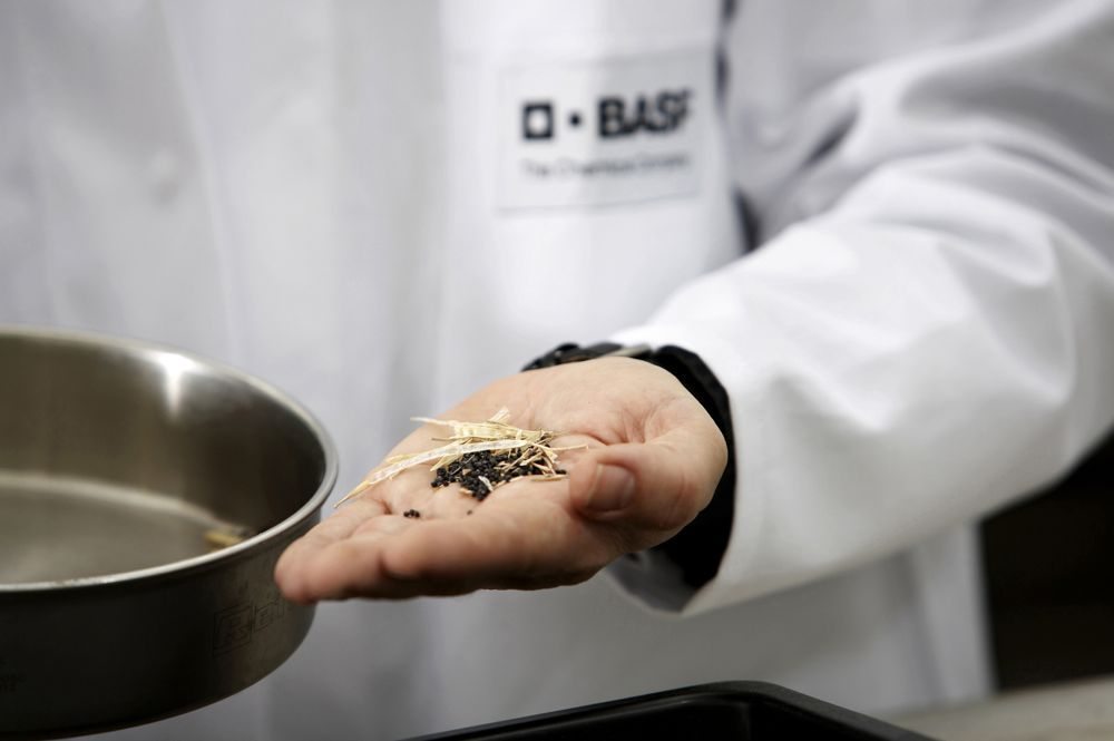BASF confirms earnings outlook but warns of high uncertainty from trade duties