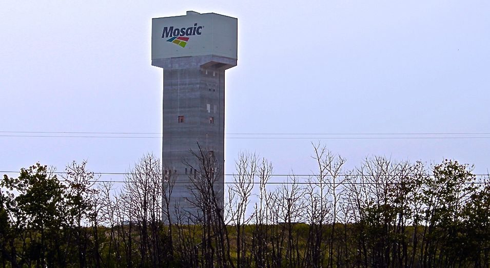 Mosaic beats first-quarter profit estimates on South America business strength