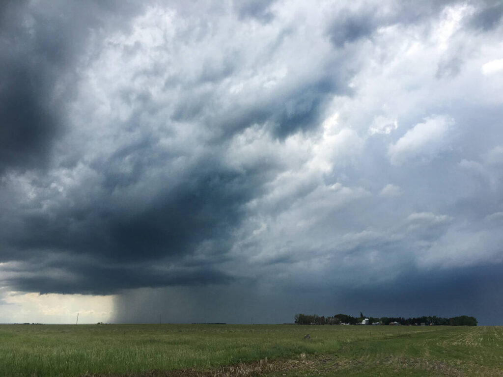 Rain pours from beneath a huge storm cloud in the distance, a lush green prairie pasture is in the foreground.