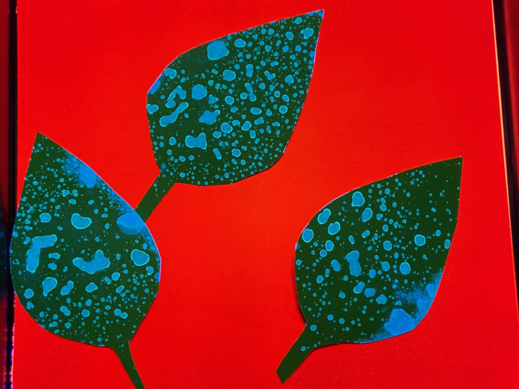 Pieces of paper shaped like leaves have drops all over them as they are used to illustrate how effectively spray from a sprayer is able to reach a plant