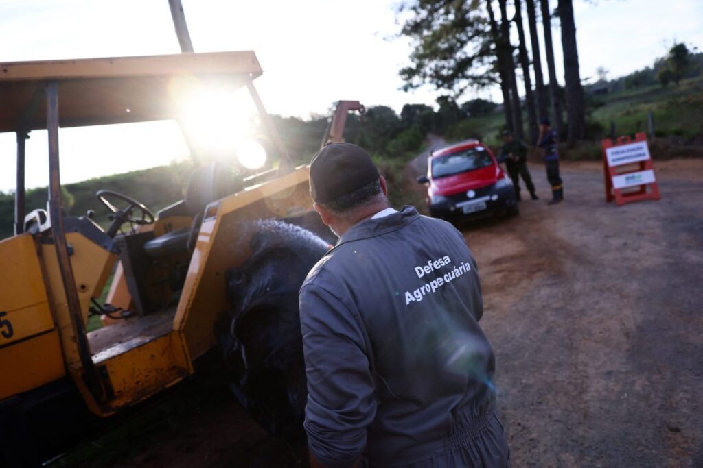 Brazil hopes to be officially free of bird flu in 28 days