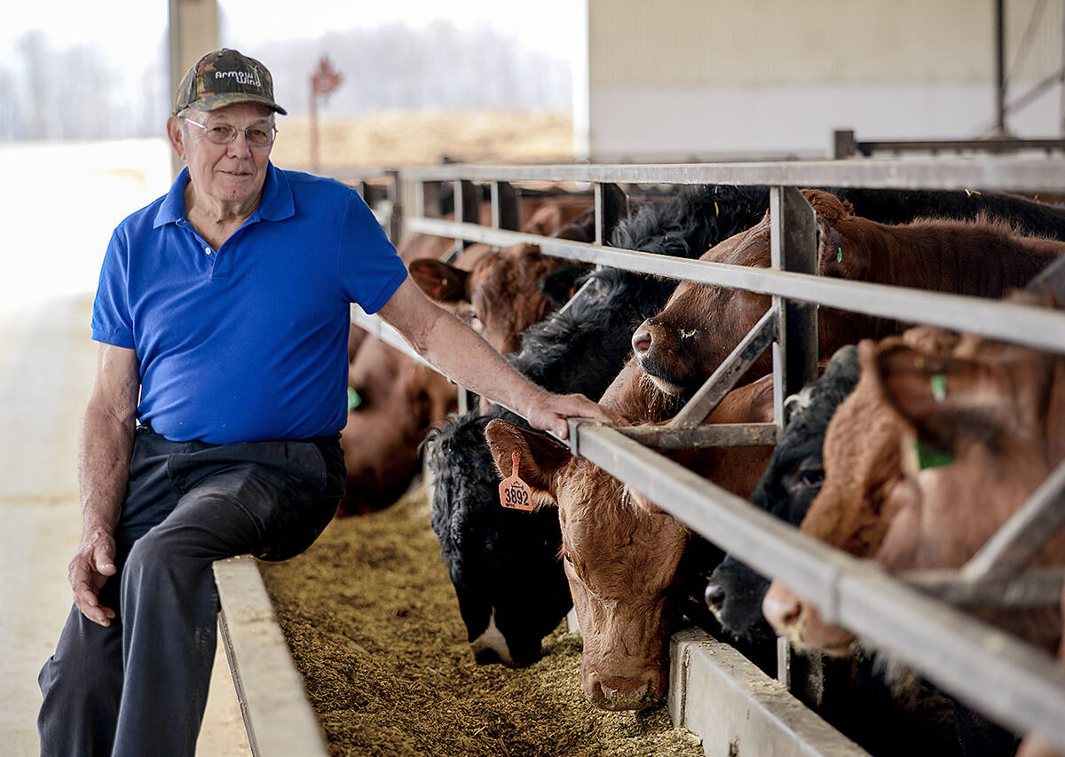 Stan Eby, a visionary beef farmer, was elected president of the Ontario Cattlemen’s Association (now Beef Farmers of Ontario) just months before the Walkerton tragedy. He led the ad hoc crisis management team assisting Dr. David Biesenthal and conducted hundreds of meetings and interviews regarding the beef industry’s environmental stewardship. Photo by Diana Martin Taken April 23, 2025