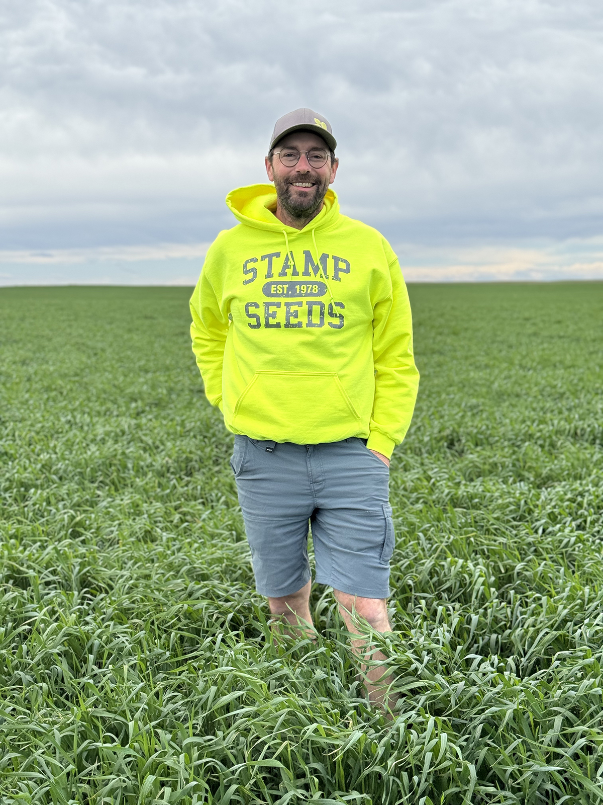 Greg Stamp stands in a fall hybrid rye field at Stamp Seeds farm.