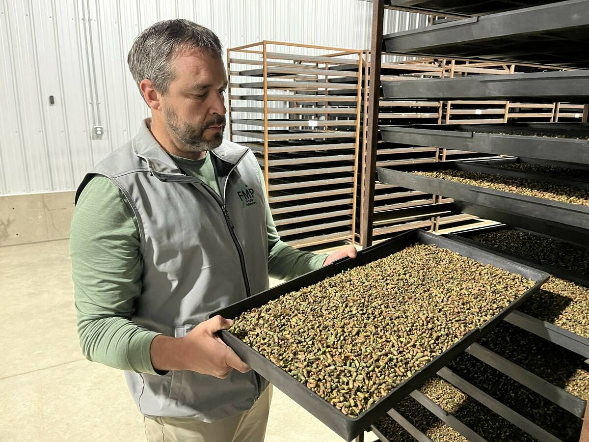 Job Swarey, operations manager and co-owner of Forty Mile Pollinators, holds one of the company’s trays, which contains up to 20,000 bees in dormancy. 
