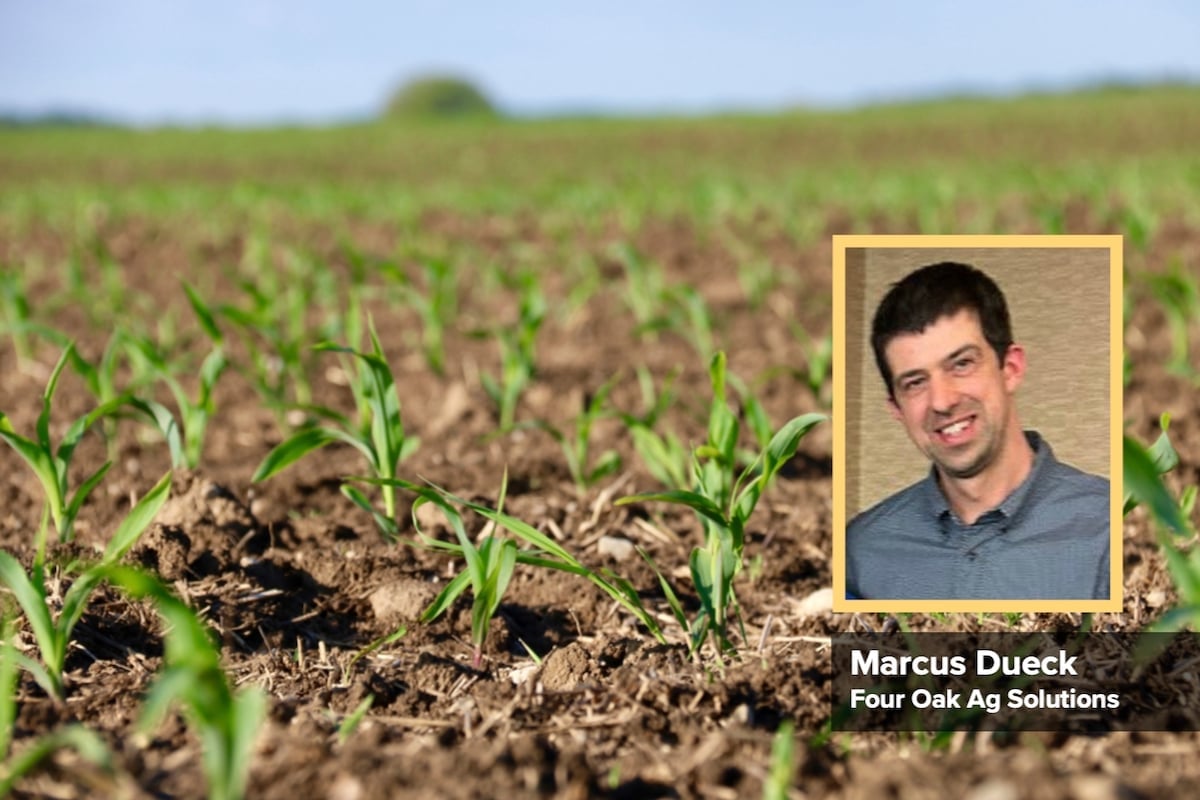 Agronomist Marcus Dueck.
