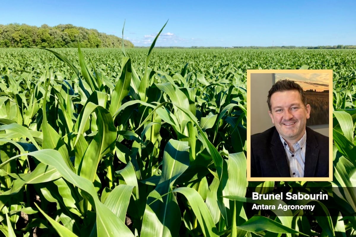 Agronomist Brunel Sabourin.
