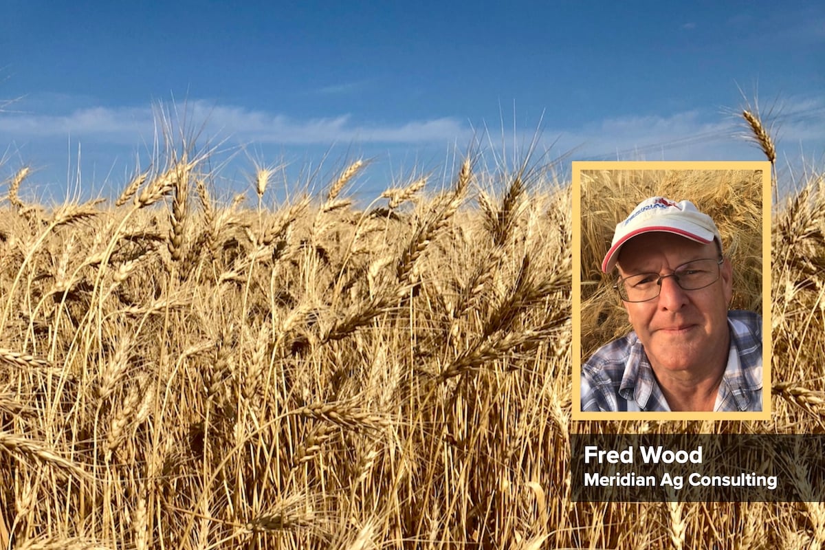 Agronomist Fred Wood.