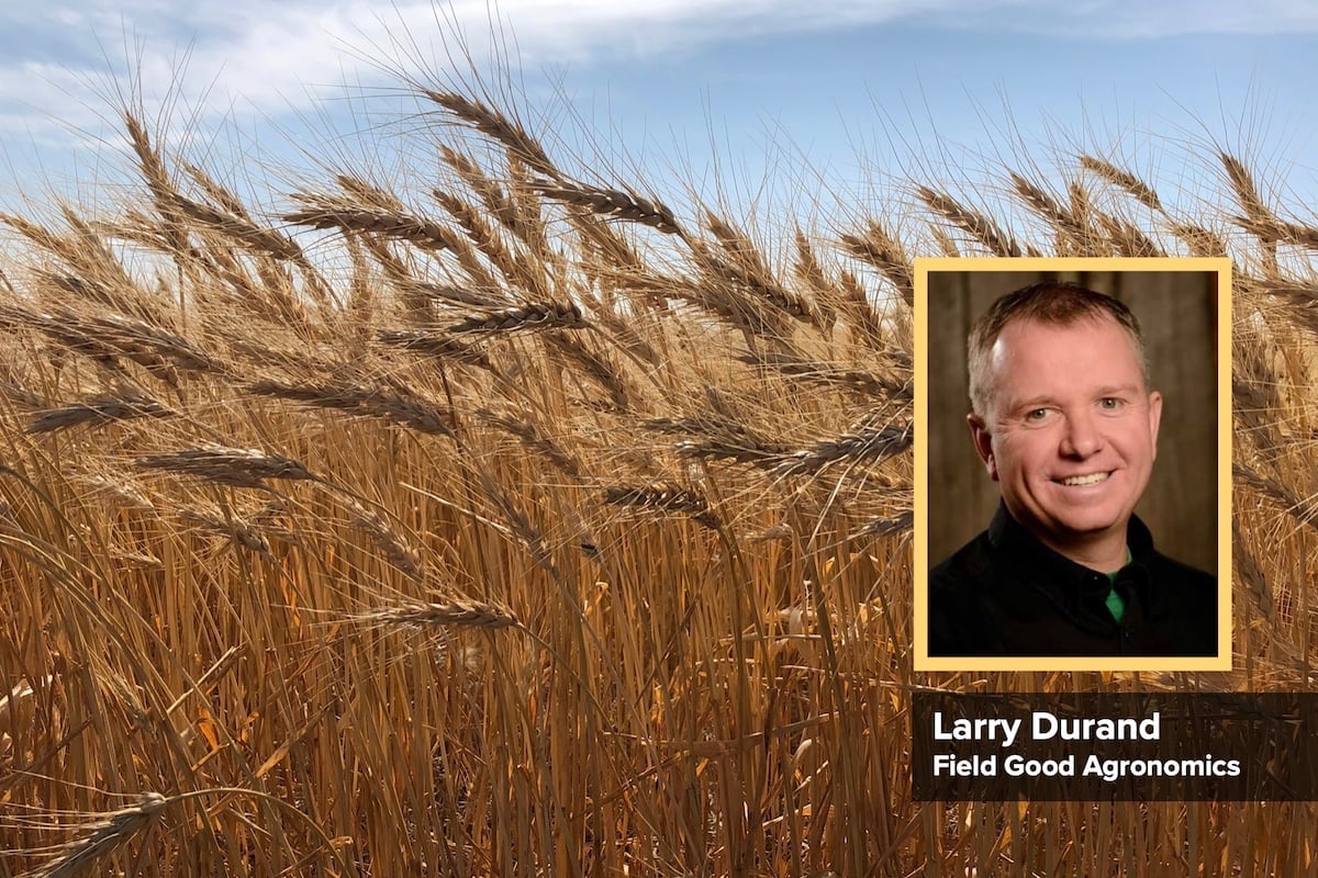 Agronomist Larry Durand.