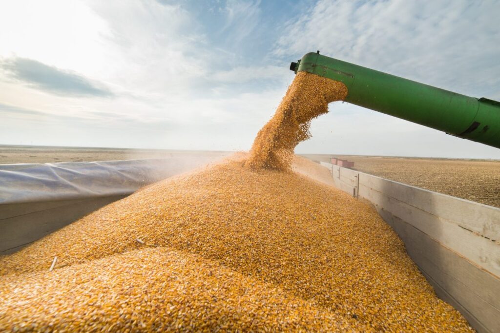Farmers’ realized net income fell $3.3 billion in 2024: StatCan