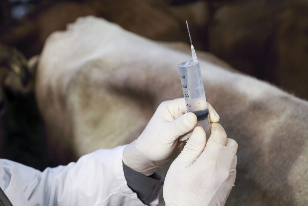 Changing spread, prevalence of animal diseases causes new challenges for food, agriculture