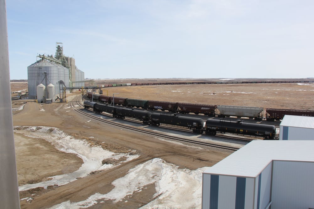 Bartlett to buy Ceres Global Ag Corp