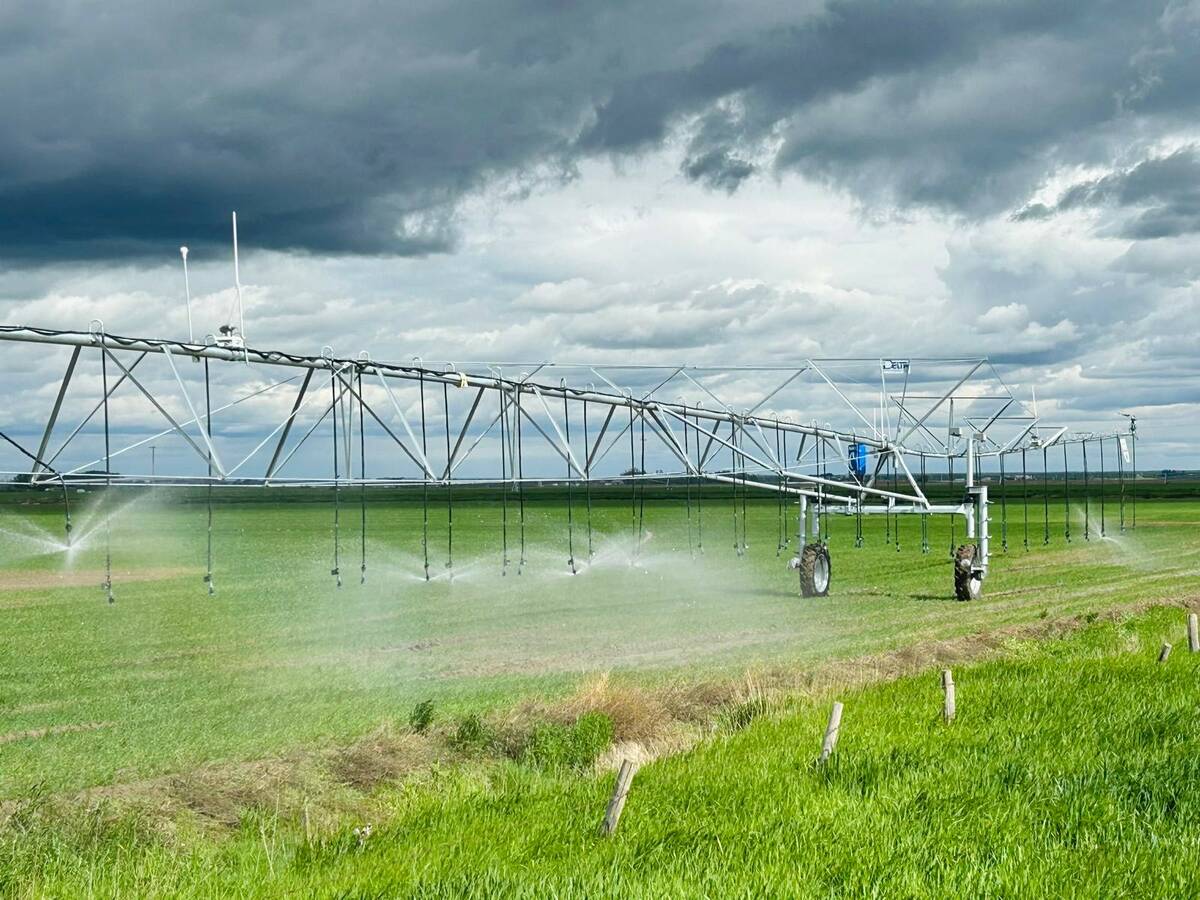 An irrigation pivot with the InteliRain variable-rate irrigation system mounted to it waters a crop.