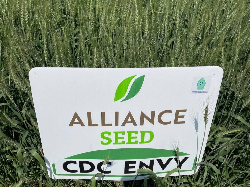 Canterra buys pedigreed seed firm Alliance Seed