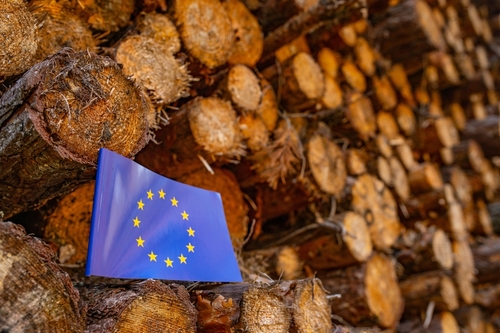 EU releases controversial EUDR country risk benchmarking amid fierce environmental criticism