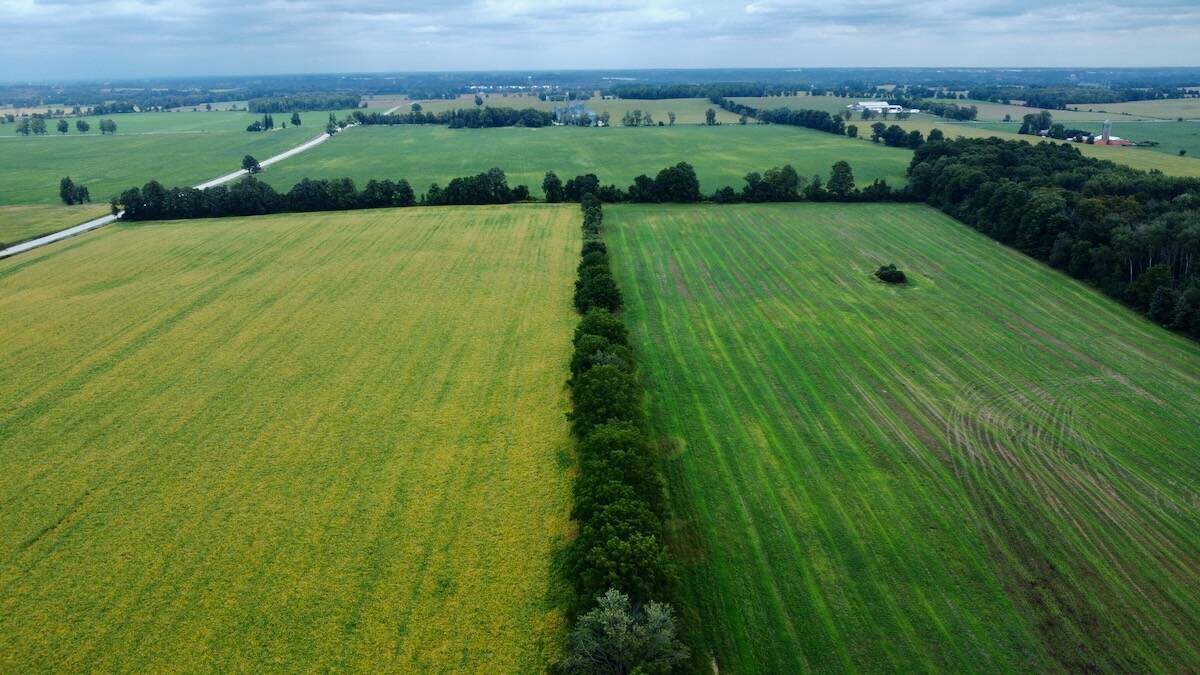 Special economic zones limit the public’s ability to react to change in land use and Bill 5 will expand that power. 