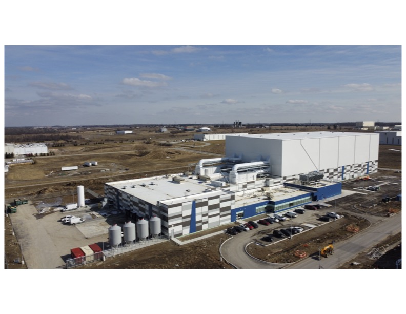 Insect protein company Aspire Food Group goes into receivership