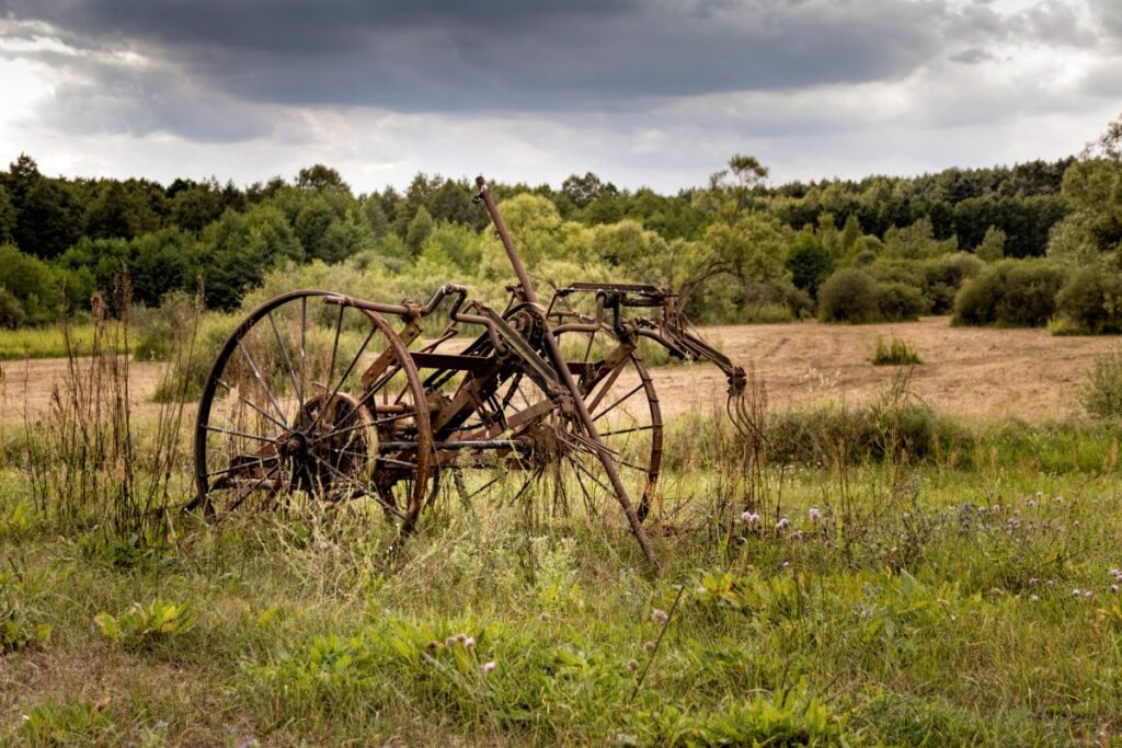 OPINION: ‘Cows and plows' settlement over a broken Indigenous treaty shows the urgent need for more transparent governance