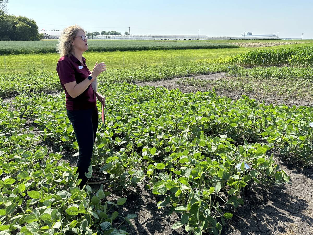 Manitoba Agriculture weed extension specialist Kim Brown speaks to an unseen group on a plot tour.