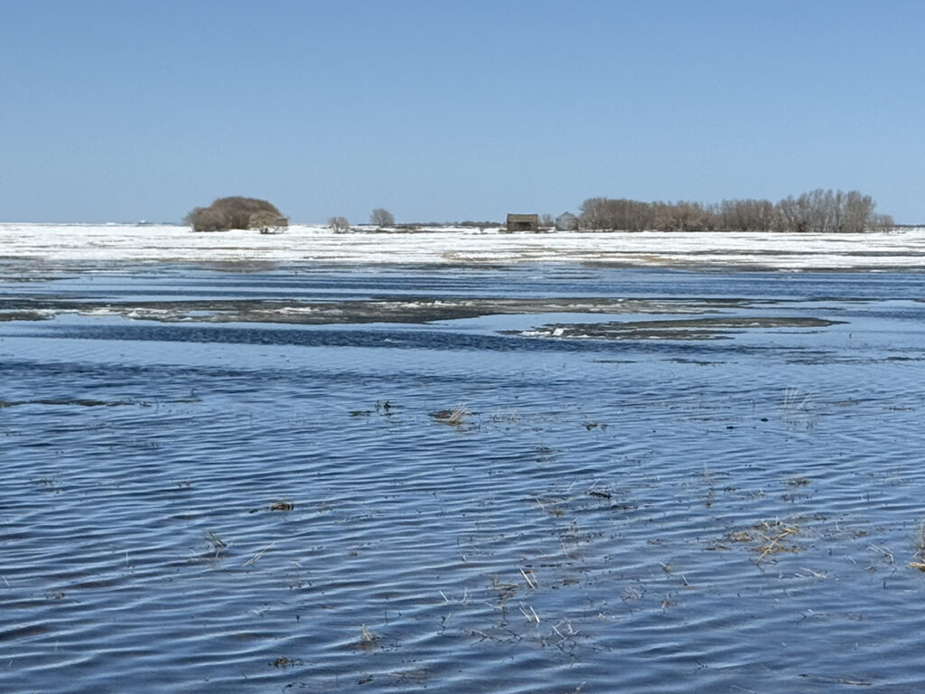 A field is submerged by melted snow with some snow and an old farm yard site in the background.
