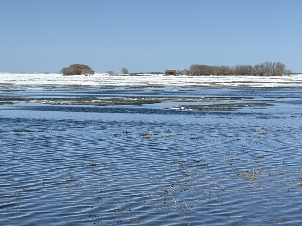 A field is submerged by melted snow with some snow and an old farm yard site in the background.