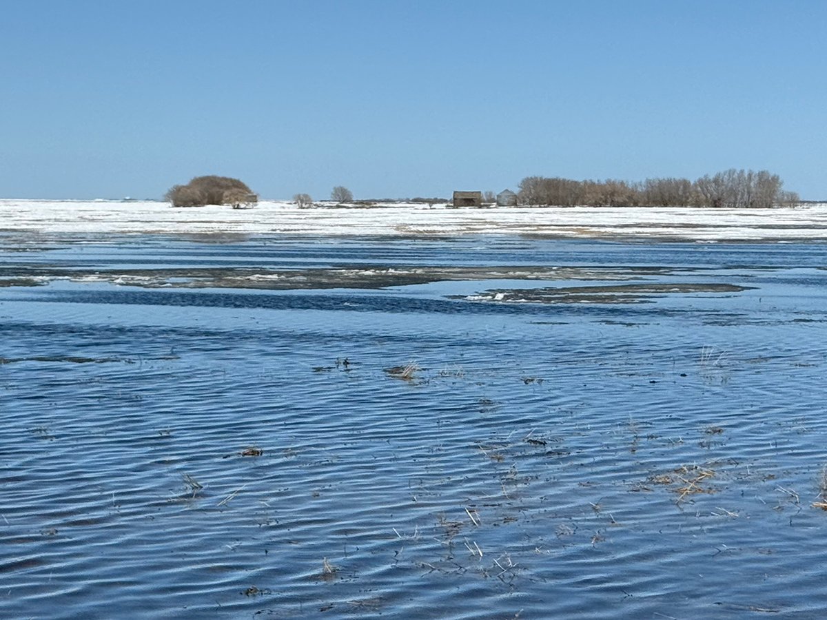 A field is submerged by melted snow with some snow and an old farm yard site in the background.