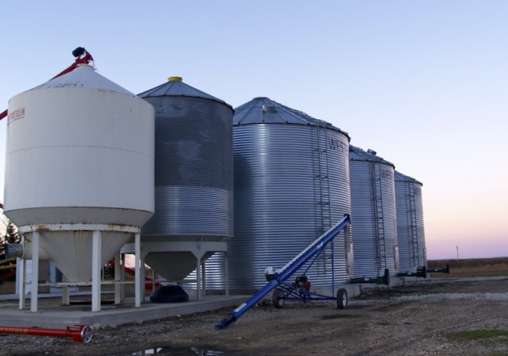 Sharp drop in canola stocks