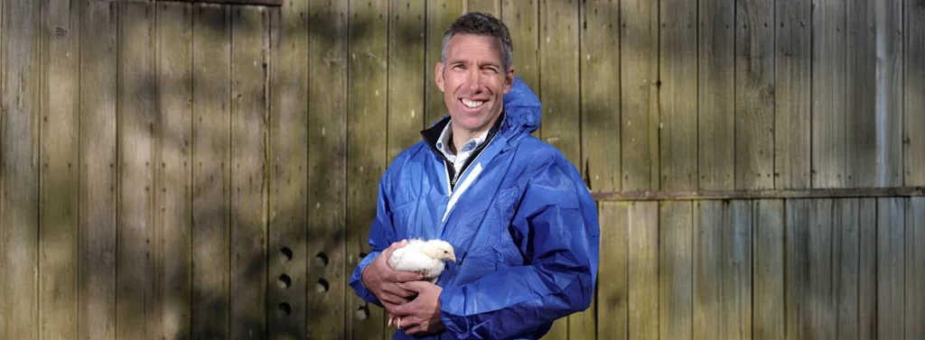 Tesco improves chicken welfare with £50m farming boost