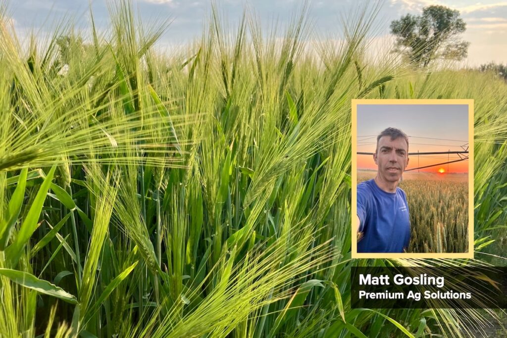 Agronomist Matt Gosling.