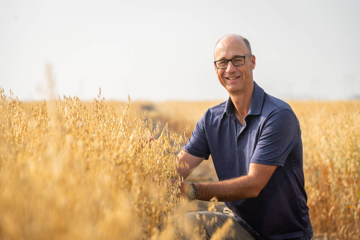 Aaron Beattie, an oat and barley breeder at the University of Saskatchewan’s Crop Development Centre, poses for a photo in a ripe field of oats.