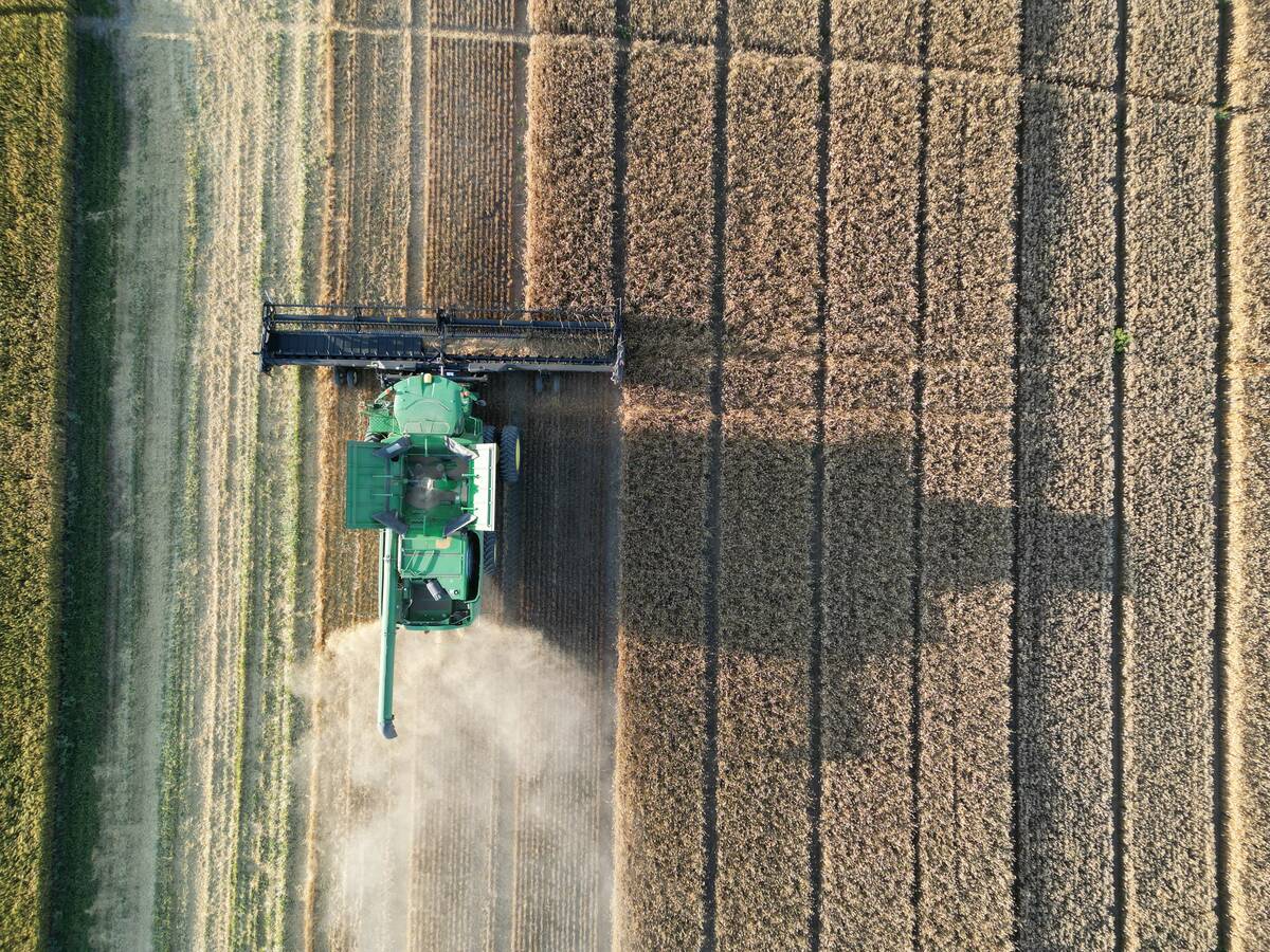 A drone photo of a combine harvesting a fall crop from directly overhead.