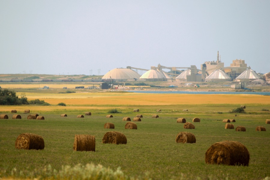 Top potash producer Nutrien misses first-quarter profit estimates on lower prices