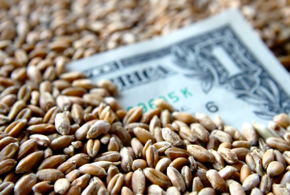 US farm agency to require DOGE approval for some loans