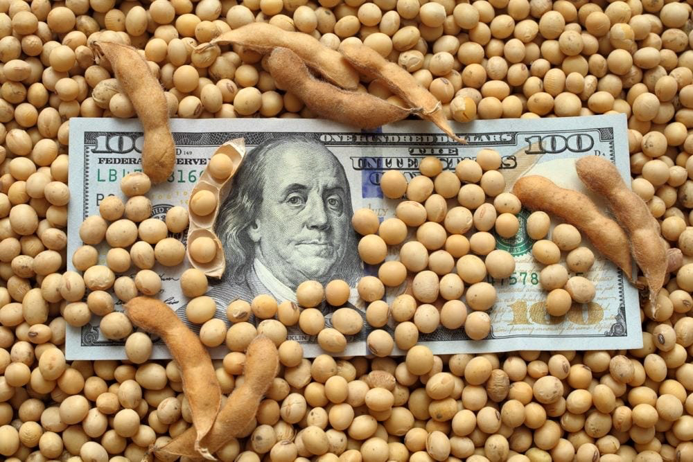 U.S. farmers say Brazil still has edge in China’s soybean market despite trade truce
