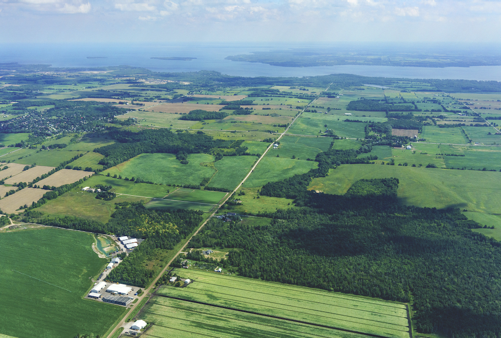 ‘Foodbelt’ legislation to be tabled by Ontario Greens and Haldimand-Norfolk MPP