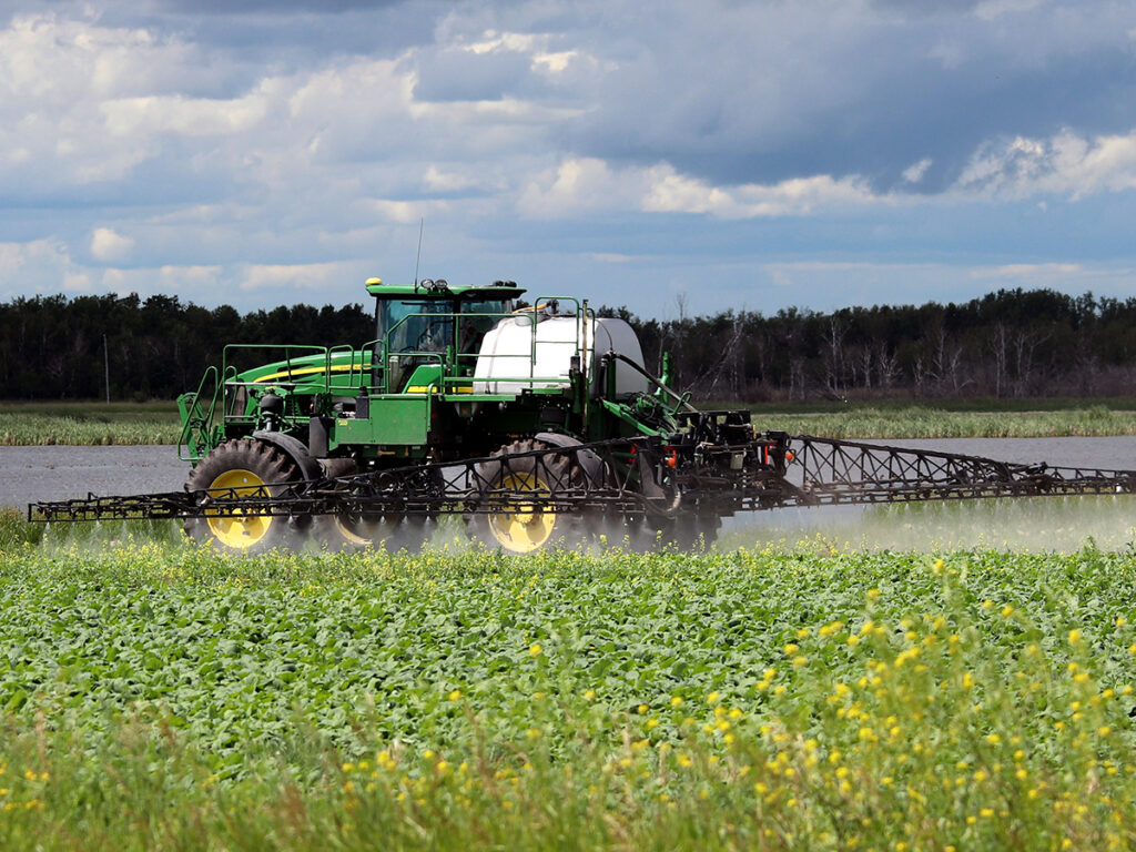 A large agricultural sprayer spraying canola ahead of bolting.