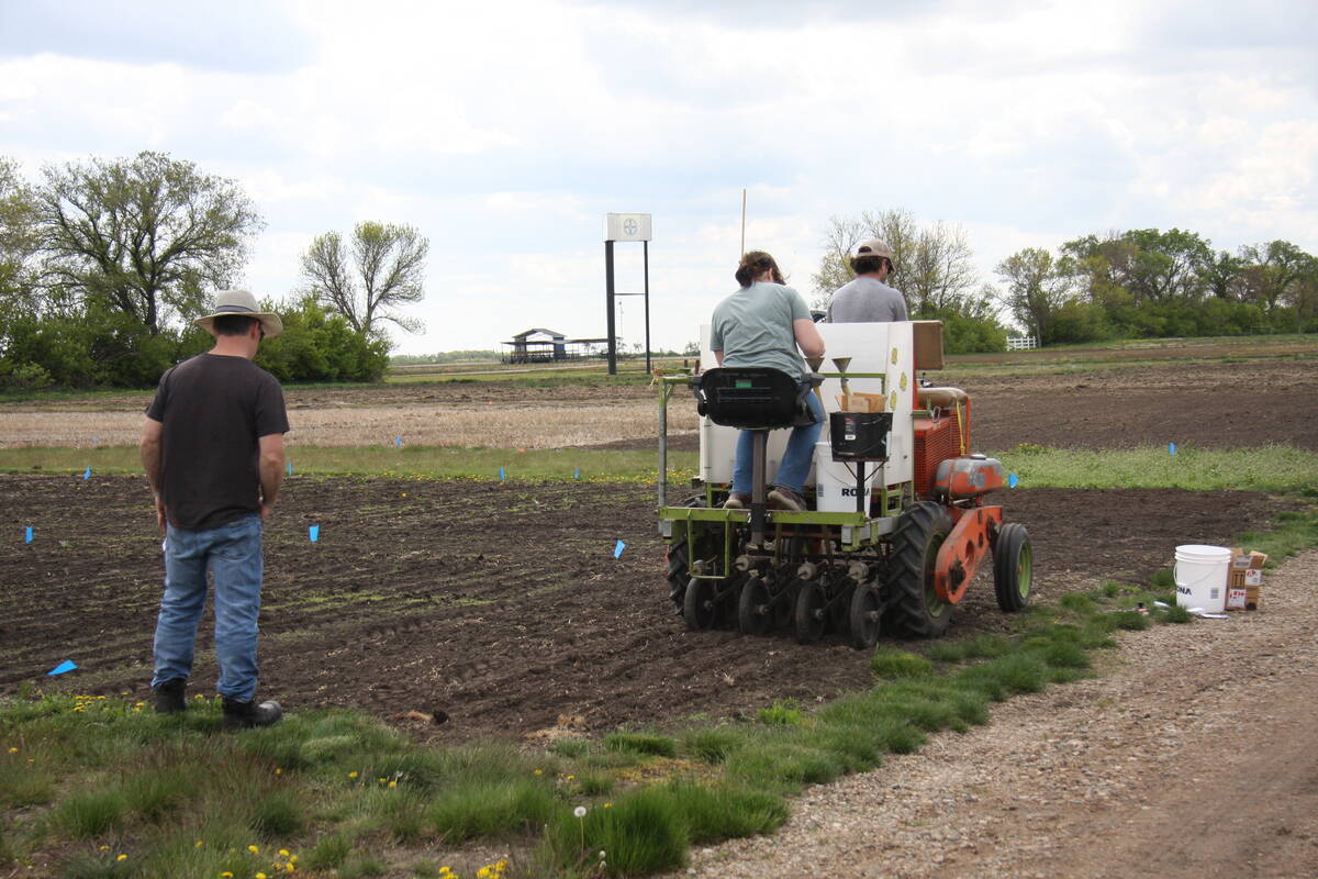 A small, two-person crop plot seeder is used to seed some of the crop plots at the Ag in Motion farm show site near Langham, Sask.