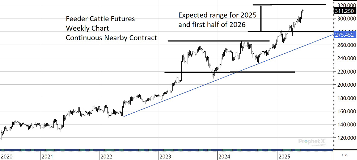 Feeder cattle futures weekly chart from 2020 to 2025