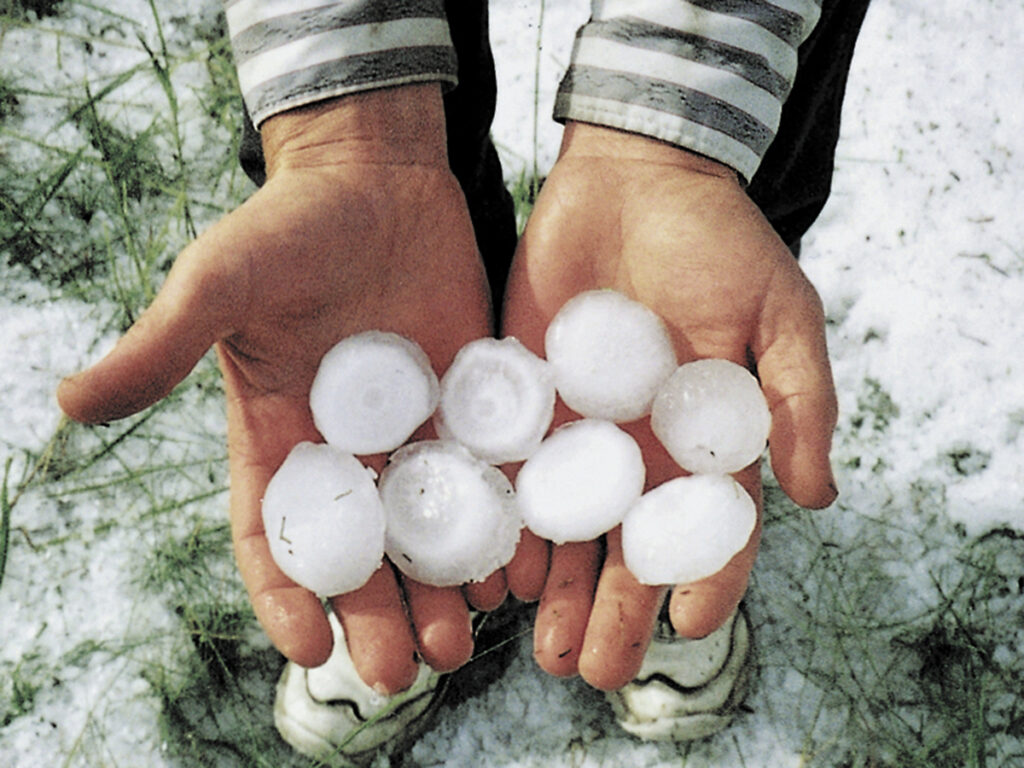 Looking down at two hands holding eight hail stones, each the size of a golf ball.