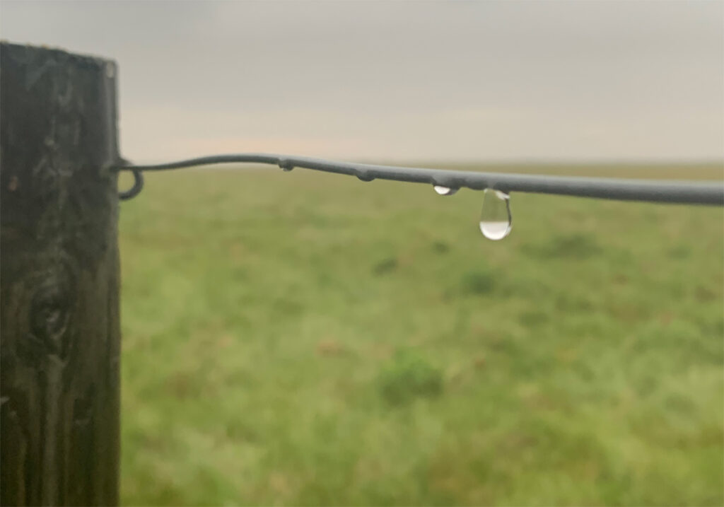 Close-up of a raindrop about to fall from a strand of high-tensile wire near a fencepost during a rain.