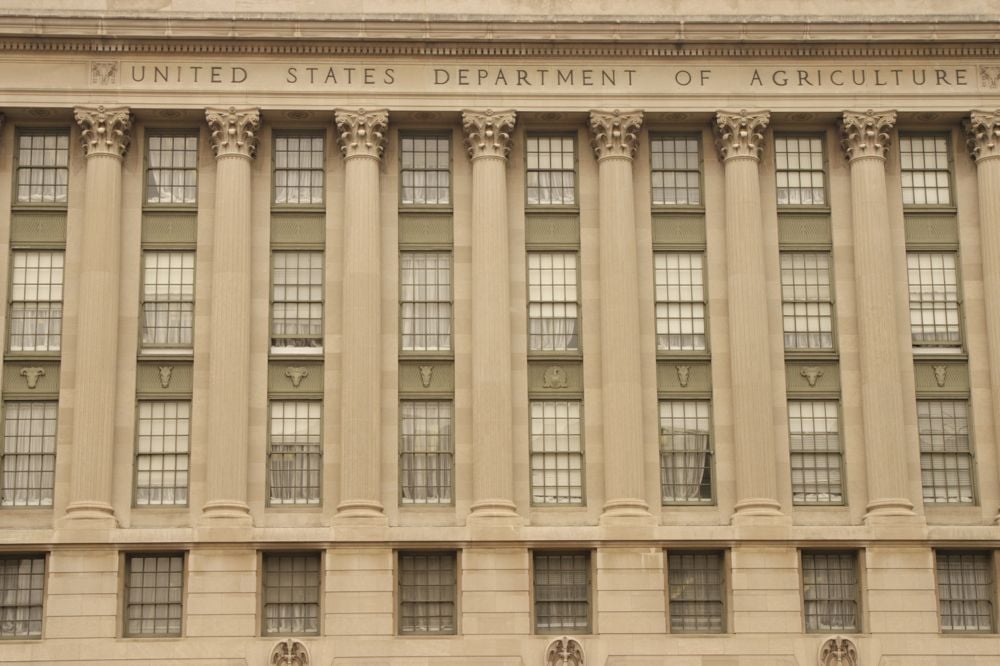 USDA lowers soybean/corn acreage estimates, wheat up from March