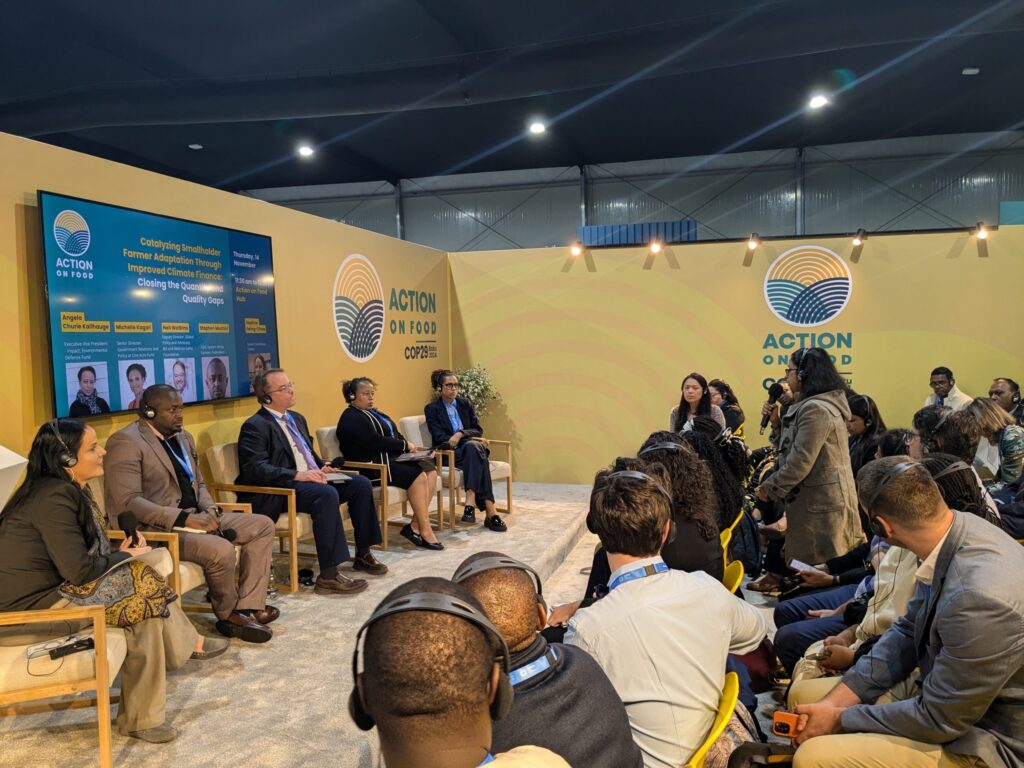 Action on Food Hub to champion food systems at COP30 in Brazil