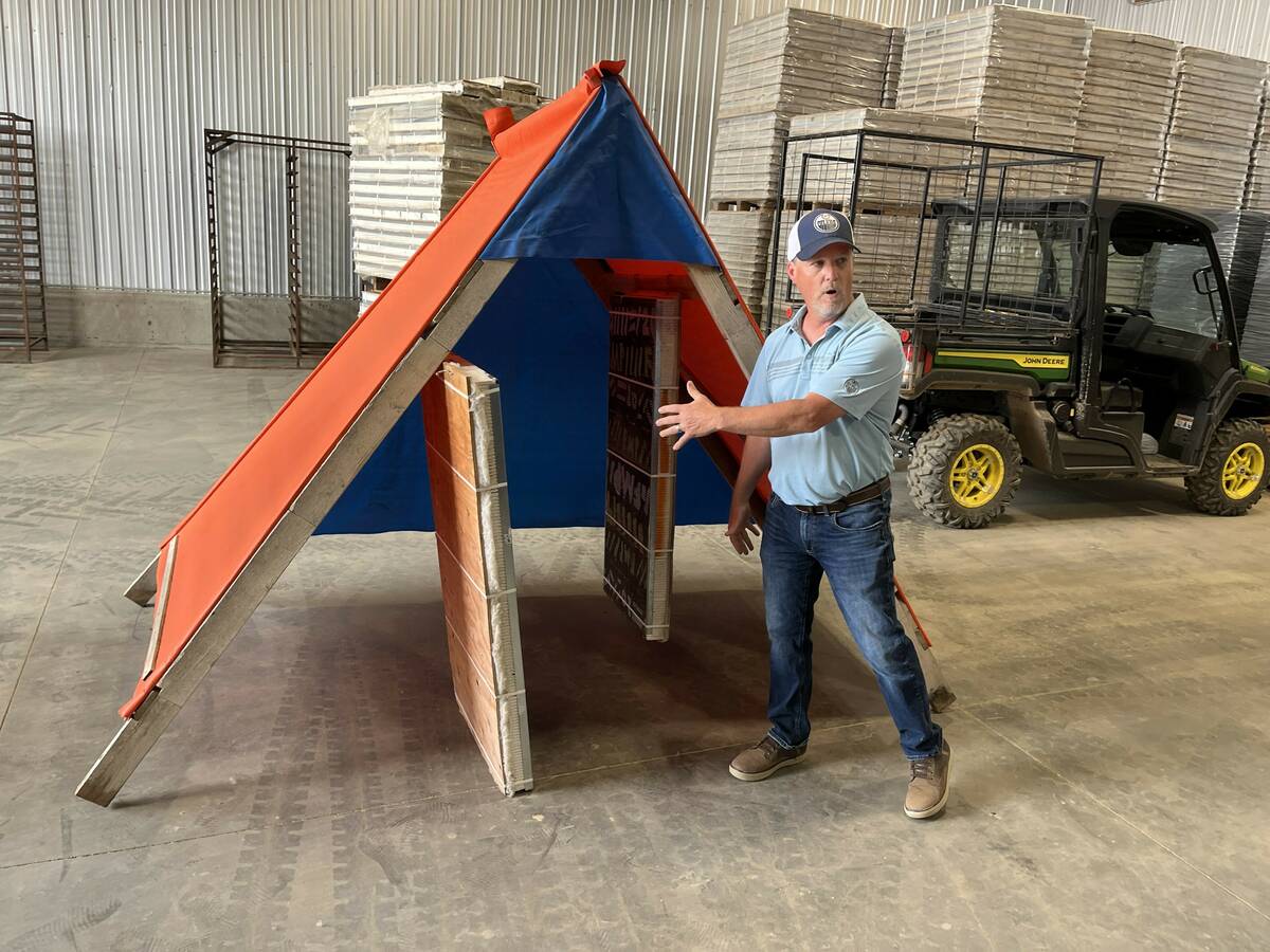 Cory Nelson, a member of the Palliser Triangle Marketing Group, stands next to one of the tents he sets up in seed canola and alfalfa fields in southern Alberta to manage leafcutter bee colonies for pollination services.