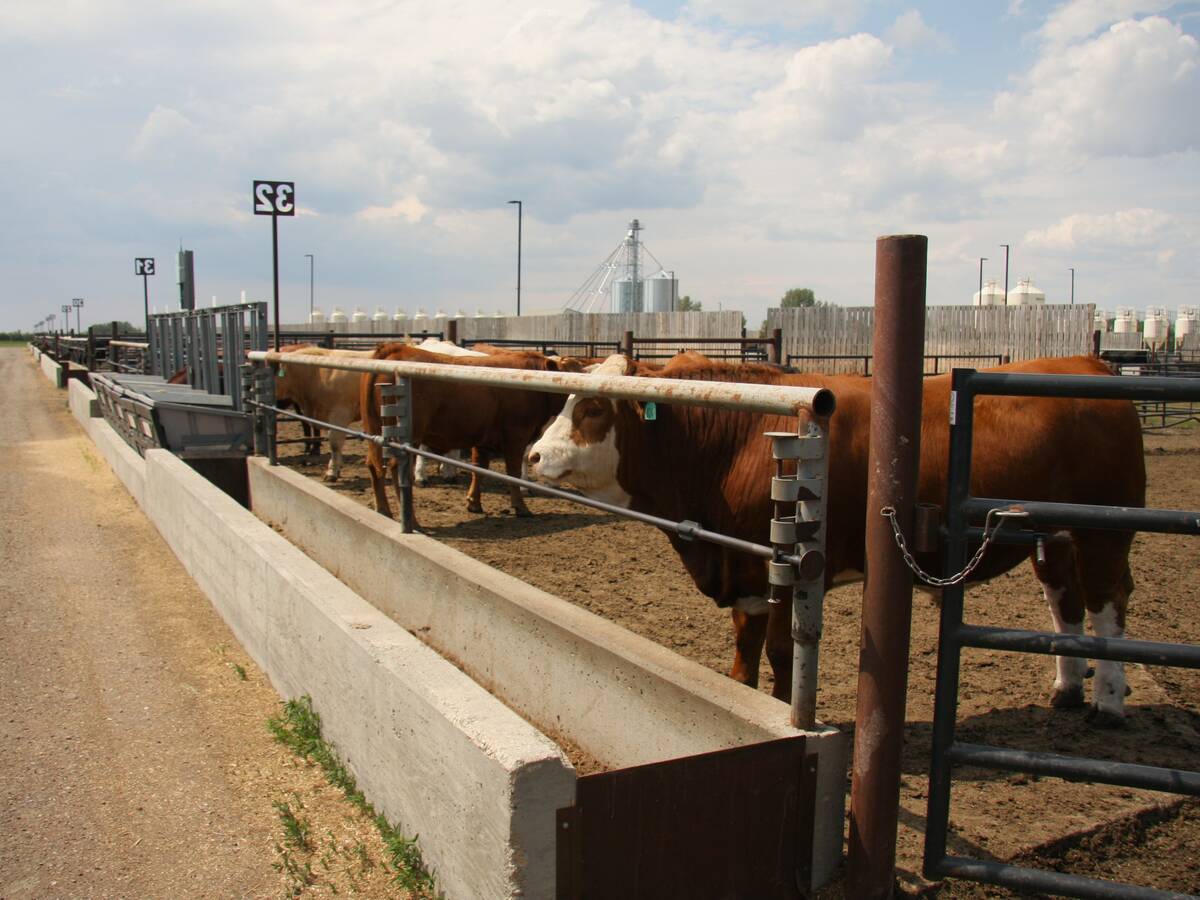 Genomics research to enhance the Canadian beef cattle industry starting in Saskatchewan