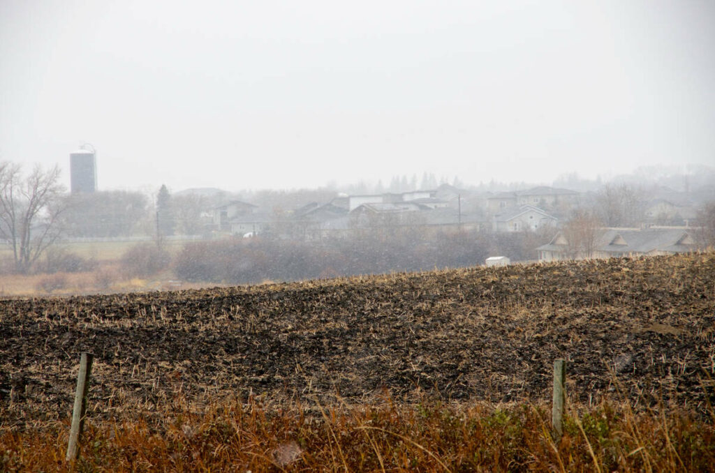 A farm field with some older fence posts in the foreground and the city of Brandon, Manitoba, immediately behind it.