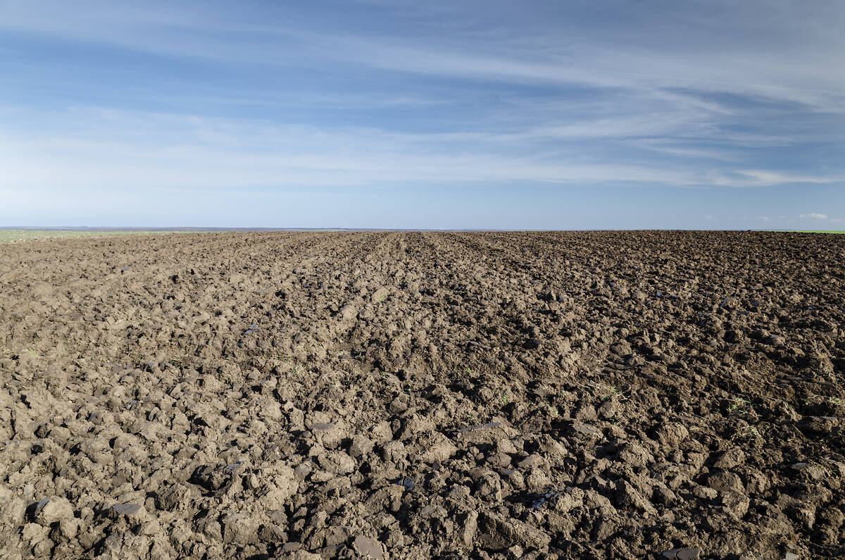 A large field with nothing growing in its dirt under a blue sky with some wispy clouds.