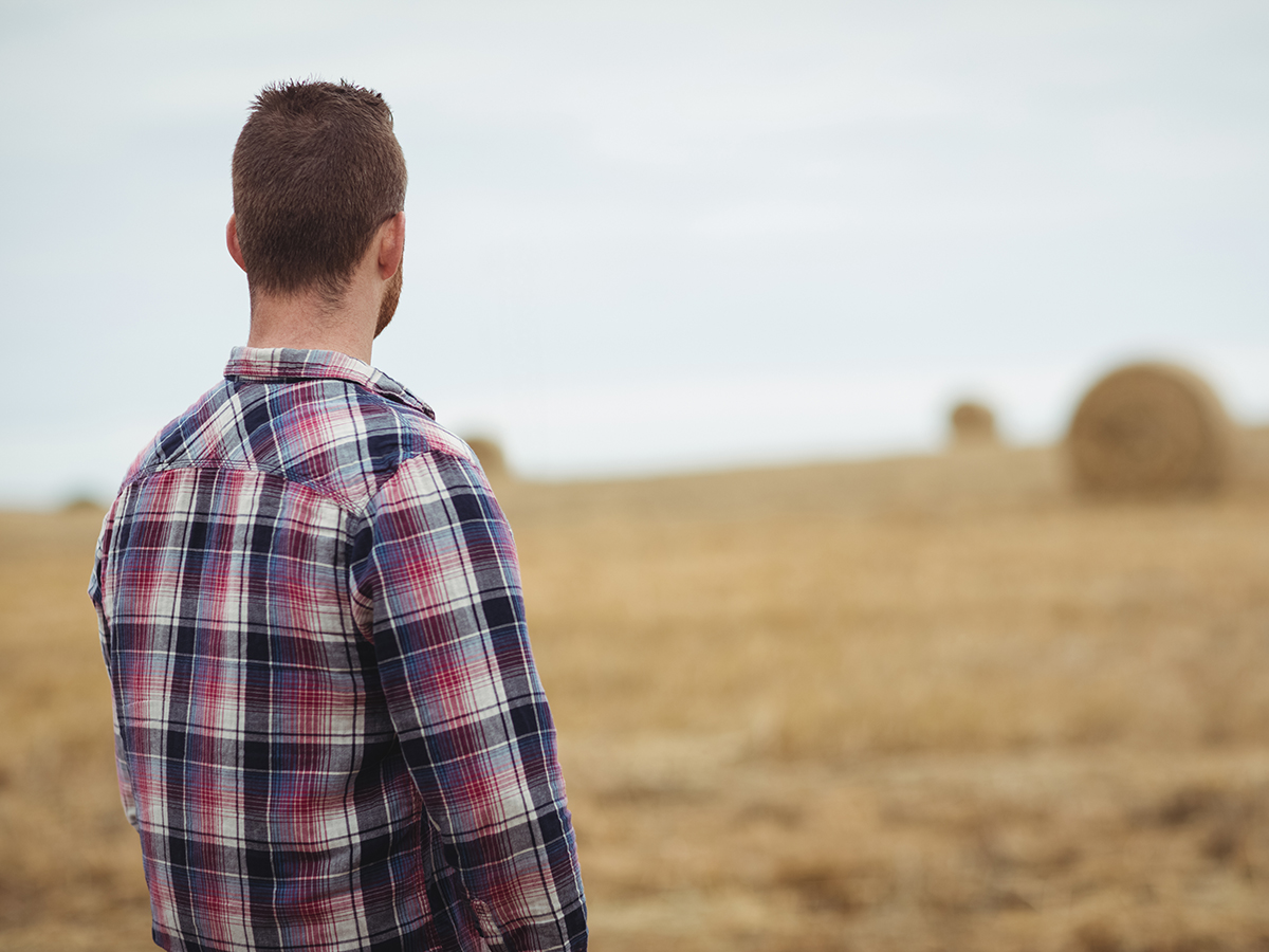 A young male farmer with his back to the camera stares at large round bales in the distance.
